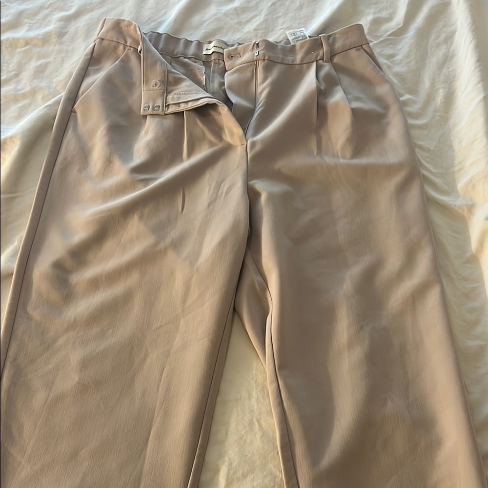 Abercrombie & Fitch Tan Dress Pants with Pleated Detailing